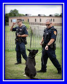 police civilian academy training with dogs